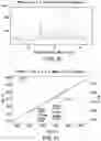 Fig. 47 - Solid forms comprising (s)-4-(4-(4-(((2-(2,6-dioxopiperidin-3-yl)-1-oxoisoindolin-4-yl)oxy)methyl)benzyl)piperazin-1-yl)-3-fluorobenzonitrile and salts thereof, and compositions comprising and methods of using the same
