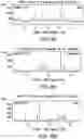 Fig. 50 - Solid forms comprising (s)-4-(4-(4-(((2-(2,6-dioxopiperidin-3-yl)-1-oxoisoindolin-4-yl)oxy)methyl)benzyl)piperazin-1-yl)-3-fluorobenzonitrile and salts thereof, and compositions comprising and methods of using the same