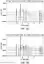 Fig. 62 - Solid forms comprising (s)-4-(4-(4-(((2-(2,6-dioxopiperidin-3-yl)-1-oxoisoindolin-4-yl)oxy)methyl)benzyl)piperazin-1-yl)-3-fluorobenzonitrile and salts thereof, and compositions comprising and methods of using the same