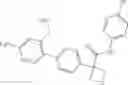 Fig. 46 - Substituted biaryl compounds as indoleamine 2,3-dioxygenase (IDO) inhibitors