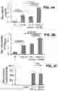 Fig. 07 - Chemical inhibition of the E3 ligase subunit FBXO7 confers neuroprotection and anti-inflammatory activity by stabilizing mitochondria