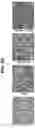 Fig. 09 - Chemical inhibition of the E3 ligase subunit FBXO7 confers neuroprotection and anti-inflammatory activity by stabilizing mitochondria