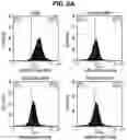 Fig. 18 - Chemical inhibition of the E3 ligase subunit FBXO7 confers neuroprotection and anti-inflammatory activity by stabilizing mitochondria