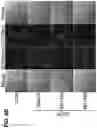 Fig. 19 - Chemical inhibition of the E3 ligase subunit FBXO7 confers neuroprotection and anti-inflammatory activity by stabilizing mitochondria