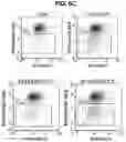 Fig. 20 - Chemical inhibition of the E3 ligase subunit FBXO7 confers neuroprotection and anti-inflammatory activity by stabilizing mitochondria