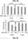 Fig. 22 - Chemical inhibition of the E3 ligase subunit FBXO7 confers neuroprotection and anti-inflammatory activity by stabilizing mitochondria