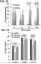 Fig. 24 - Chemical inhibition of the E3 ligase subunit FBXO7 confers neuroprotection and anti-inflammatory activity by stabilizing mitochondria