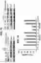 Fig. 25 - Chemical inhibition of the E3 ligase subunit FBXO7 confers neuroprotection and anti-inflammatory activity by stabilizing mitochondria