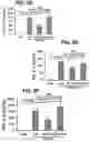 Fig. 27 - Chemical inhibition of the E3 ligase subunit FBXO7 confers neuroprotection and anti-inflammatory activity by stabilizing mitochondria