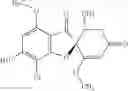 Fig. 40 - Griseofulvin compound and pharmaceutical use thereof