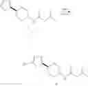 Fig. 176 - RAD51 inhibitors