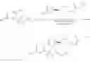 Fig. 262 - RAD51 inhibitors