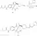Fig. 63 - RAD51 inhibitors