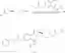 Fig. 68 - RAD51 inhibitors