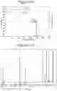 Fig. 14 - Synthesis of key intermediate of KRAS G12C inhibitor compound