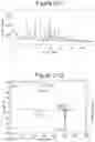 Fig. 15 - Synthesis of key intermediate of KRAS G12C inhibitor compound