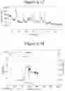Fig. 18 - Synthesis of key intermediate of KRAS G12C inhibitor compound