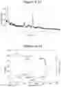Fig. 31 - Synthesis of key intermediate of KRAS G12C inhibitor compound