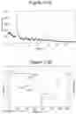 Fig. 34 - Synthesis of key intermediate of KRAS G12C inhibitor compound