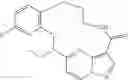 Fig. 09 - DIARYL MACROCYCLES AS MODULATORS OF PROTEIN KINASES