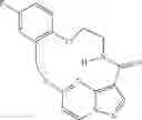 Fig. 133 - DIARYL MACROCYCLES AS MODULATORS OF PROTEIN KINASES