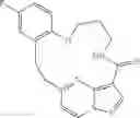Fig. 169 - DIARYL MACROCYCLES AS MODULATORS OF PROTEIN KINASES