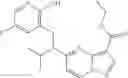 Fig. 217 - DIARYL MACROCYCLES AS MODULATORS OF PROTEIN KINASES