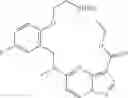 Fig. 221 - DIARYL MACROCYCLES AS MODULATORS OF PROTEIN KINASES