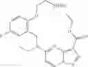 Fig. 222 - DIARYL MACROCYCLES AS MODULATORS OF PROTEIN KINASES
