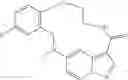 Fig. 246 - DIARYL MACROCYCLES AS MODULATORS OF PROTEIN KINASES