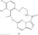 Fig. 252 - DIARYL MACROCYCLES AS MODULATORS OF PROTEIN KINASES
