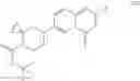 Fig. 16 - Process for the preparation of 7-(4,7-diazaspiro[2.5]octan-7-yl)-2-(2,8-dimethylimidazo [1,2-B]pyridazin-6-yl)pyrido[1,2-a]pyrimidin-4-one derivatives