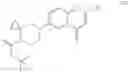 Fig. 81 - Process for the preparation of 7-(4,7-diazaspiro[2.5]octan-7-yl)-2-(2,8-dimethylimidazo [1,2-B]pyridazin-6-yl)pyrido[1,2-a]pyrimidin-4-one derivatives