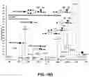 Fig. 19 - Oligosaccharide-protein conjugates
