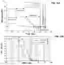 Fig. 25 - Oligosaccharide-protein conjugates