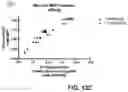Fig. 26 - Oligosaccharide-protein conjugates