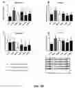 Fig. 30 - Oligosaccharide-protein conjugates