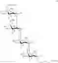 Fig. 42 - Oligosaccharide-protein conjugates