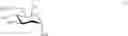 Fig. 48 - Oligosaccharide-protein conjugates