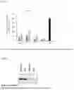 Fig. 03 - Modified nucleic acid monomer compound and oligonucleic acid analog