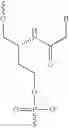 Fig. 05 - Modified nucleic acid monomer compound and oligonucleic acid analog