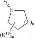 Fig. 08 - Modified nucleic acid monomer compound and oligonucleic acid analog