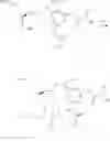 Fig. 67 - Modified nucleic acid monomer compound and oligonucleic acid analog