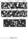 Fig. 06 - Method of treatment