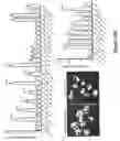 Fig. 13 - Method of treatment