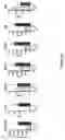 Fig. 30 - Method of treatment