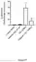 Fig. 48 - Method of treatment