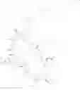 Fig. 100 - Immunomodulators