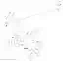 Fig. 101 - Immunomodulators