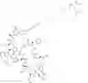 Fig. 102 - Immunomodulators